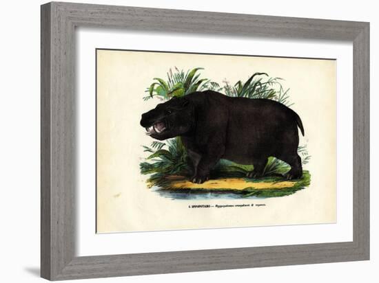 Hippo, 1863-79-Raimundo Petraroja-Framed Giclee Print