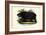 Hippo, 1863-79-Raimundo Petraroja-Framed Giclee Print