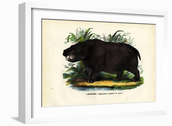 Hippo, 1863-79-Raimundo Petraroja-Framed Giclee Print