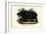 Hippo, 1863-79-Raimundo Petraroja-Framed Giclee Print