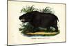 Hippo, 1863-79-Raimundo Petraroja-Mounted Giclee Print