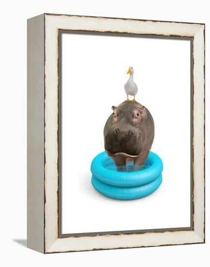 Hippo and Duck-J Hovenstine Studios-Framed Premier Image Canvas