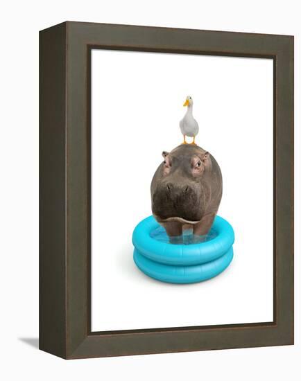 Hippo and Duck-J Hovenstine Studios-Framed Premier Image Canvas