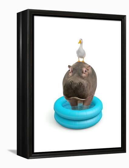 Hippo and Duck-J Hovenstine Studios-Framed Premier Image Canvas