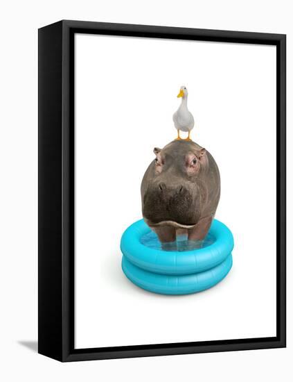 Hippo and Duck-J Hovenstine Studios-Framed Premier Image Canvas