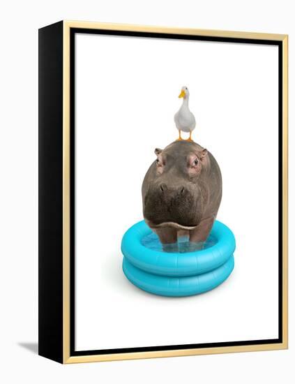 Hippo and Duck-J Hovenstine Studios-Framed Premier Image Canvas