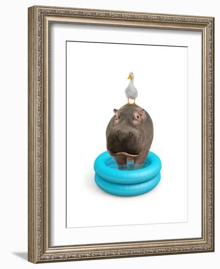 Hippo and Duck-J Hovenstine Studios-Framed Giclee Print