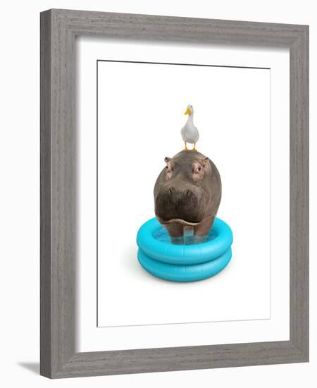 Hippo and Duck-J Hovenstine Studios-Framed Giclee Print