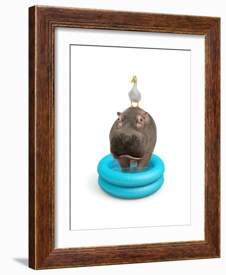 Hippo and Duck-J Hovenstine Studios-Framed Giclee Print