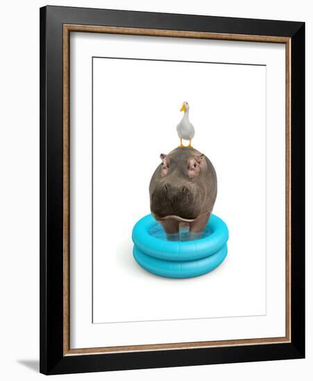 Hippo and Duck-J Hovenstine Studios-Framed Giclee Print