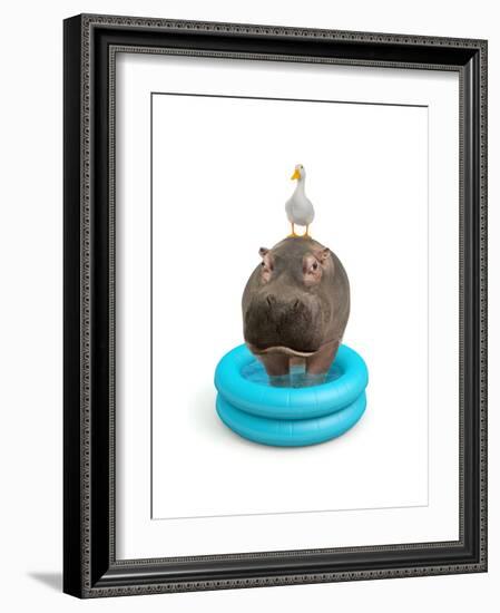 Hippo and Duck-J Hovenstine Studios-Framed Giclee Print