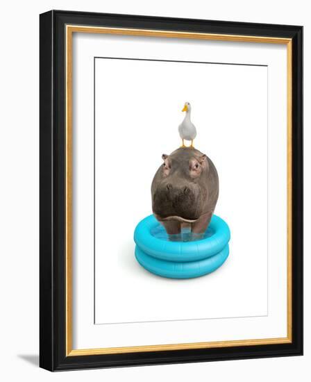 Hippo and Duck-J Hovenstine Studios-Framed Giclee Print