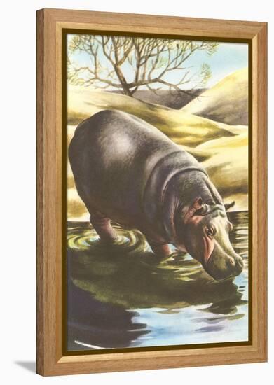 Hippo at Shore-null-Framed Stretched Canvas