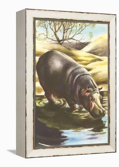 Hippo at Shore-null-Framed Stretched Canvas