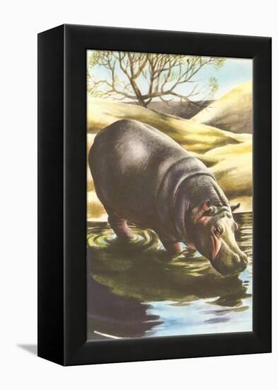 Hippo at Shore-null-Framed Stretched Canvas