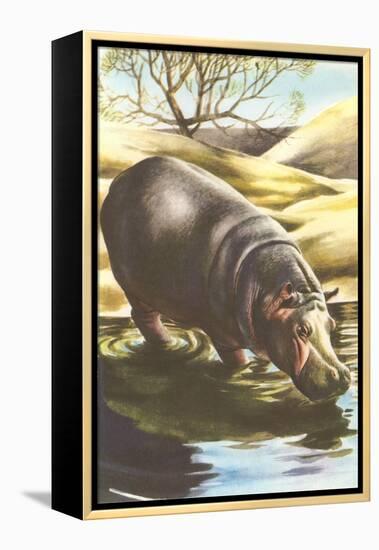 Hippo at Shore-null-Framed Stretched Canvas