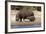 Hippo Mother with Young One-null-Framed Photographic Print