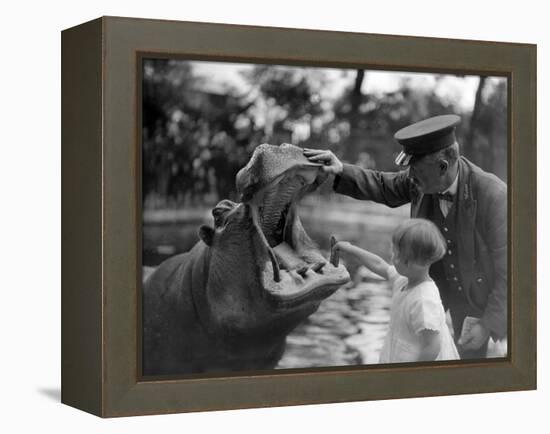 Hippo's Dental Check-null-Framed Premier Image Canvas