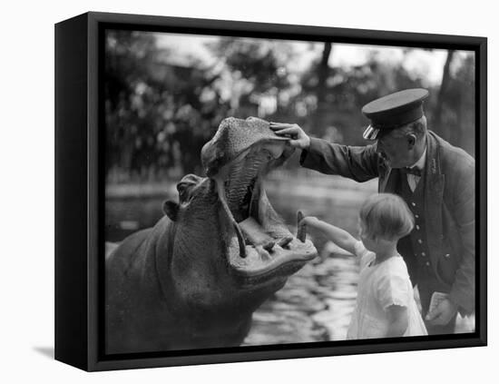 Hippo's Dental Check-null-Framed Premier Image Canvas