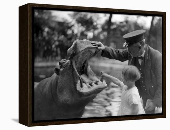 Hippo's Dental Check-null-Framed Premier Image Canvas