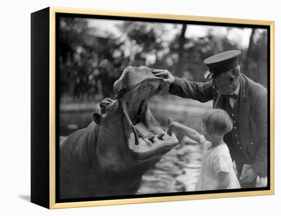 Hippo's Dental Check-null-Framed Premier Image Canvas