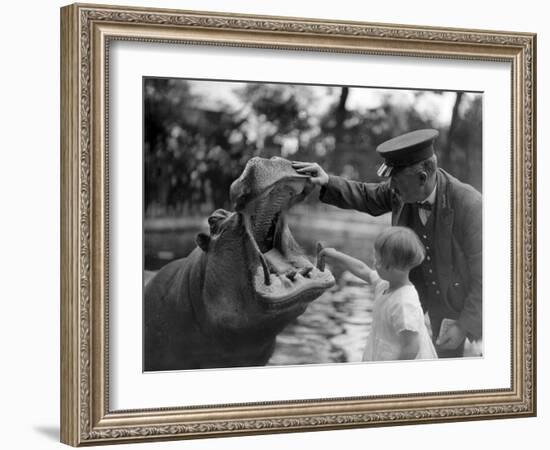 Hippo's Dental Check-null-Framed Photographic Print