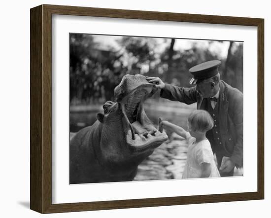 Hippo's Dental Check-null-Framed Photographic Print