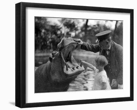 Hippo's Dental Check-null-Framed Photographic Print