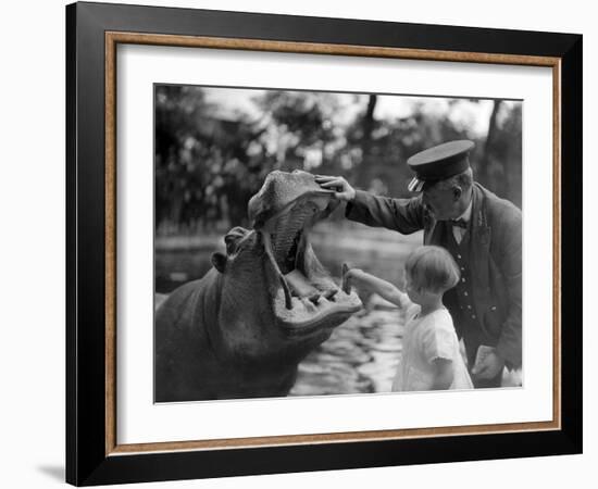 Hippo's Dental Check-null-Framed Photographic Print