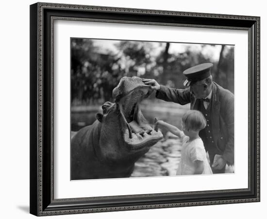 Hippo's Dental Check-null-Framed Photographic Print