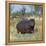 Hippo, with Red-Billed Oxpeckers (Tick Birds), Grazes, Okavango Swamp Edge, Moremi Wildlife Reserve-Nigel Pavitt-Framed Premier Image Canvas