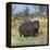 Hippo, with Red-Billed Oxpeckers (Tick Birds), Grazes, Okavango Swamp Edge, Moremi Wildlife Reserve-Nigel Pavitt-Framed Premier Image Canvas