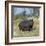 Hippo, with Red-Billed Oxpeckers (Tick Birds), Grazes, Okavango Swamp Edge, Moremi Wildlife Reserve-Nigel Pavitt-Framed Photographic Print