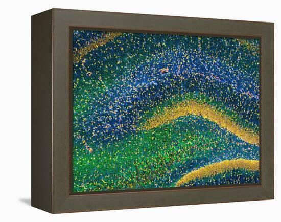 Hippocampus Brain Tissue-Thomas Deerinck-Framed Premier Image Canvas