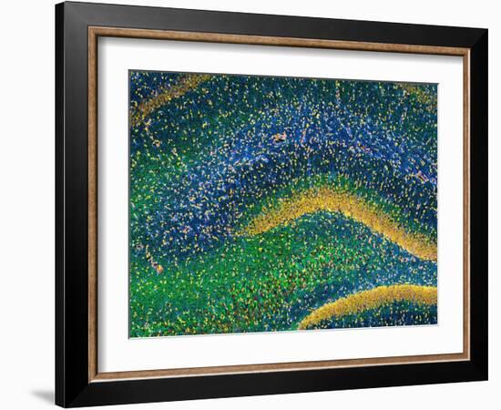 Hippocampus Brain Tissue-Thomas Deerinck-Framed Photographic Print