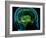 Hippocampus In the Brain, Artwork-Roger Harris-Framed Photographic Print