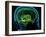 Hippocampus In the Brain, Artwork-Roger Harris-Framed Photographic Print