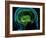 Hippocampus In the Brain, Artwork-Roger Harris-Framed Photographic Print