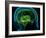 Hippocampus In the Brain, Artwork-Roger Harris-Framed Photographic Print