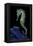 Hippocampus Kuda (Common Seahorse, Estuary Seahorse, Yellow Seahorse, Spotted Seahorse)-Paul Starosta-Framed Premier Image Canvas