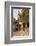 Hippocrates Plane Tree, fountain and mosque, Plateia Platanou, cobblestone square in autumn, Kos To-Eleanor Scriven-Framed Photographic Print