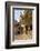 Hippocrates Plane Tree, fountain and mosque, Plateia Platanou, cobblestone square in autumn, Kos To-Eleanor Scriven-Framed Photographic Print