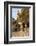 Hippocrates Plane Tree, fountain and mosque, Plateia Platanou, cobblestone square in autumn, Kos To-Eleanor Scriven-Framed Photographic Print