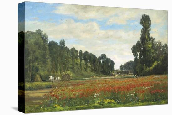 Stretched Canvas Print, , large