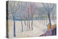 Stretched Canvas Print
