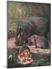 Hippopotami 1909-Cuthbert Swan-Mounted Art Print