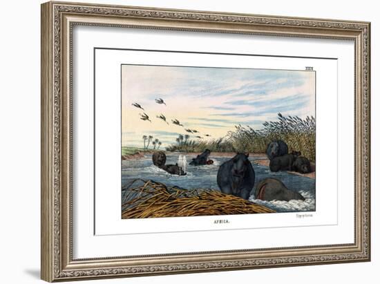 Hippopotamus, 1860-null-Framed Giclee Print