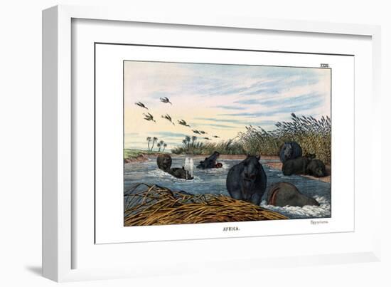 Hippopotamus, 1860-null-Framed Giclee Print