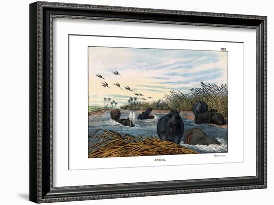 Hippopotamus, 1860-null-Framed Giclee Print