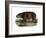 Hippopotamus, 1860-null-Framed Giclee Print